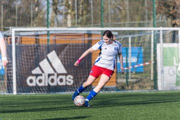 Bild 234 - F Hamburger SV 3 - Blau-Weiss 96 : Ergebnis: 5:1